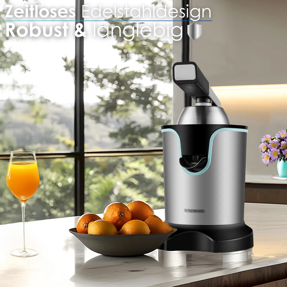 Steinborg Presse-agrumes, électrique, 800 W, acier inoxydable, démarrage, arrêt automatique, passe au lave-vaisselle