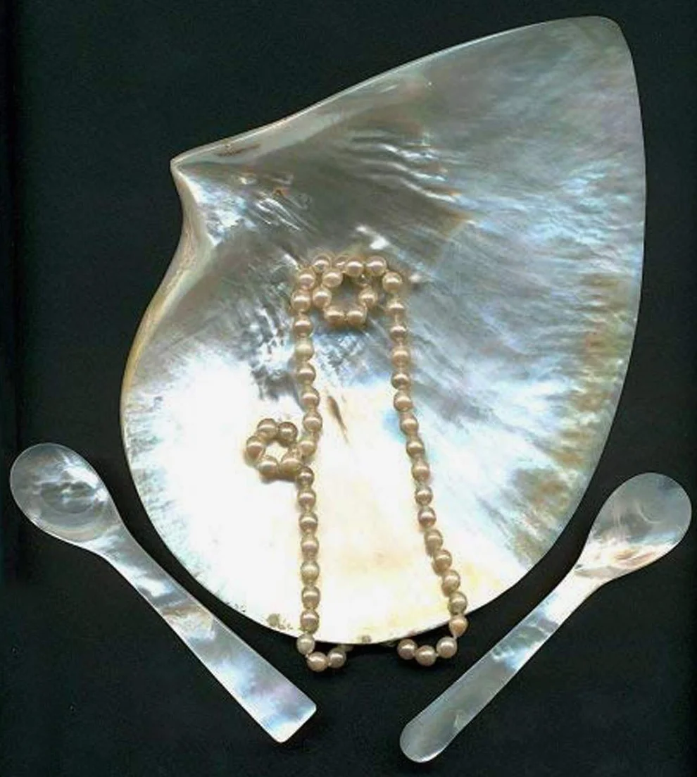 EDZARD Set de 2 cuillères à œufs ou caviar, nacre de rivière (pas de perle de culture!), fait main de haute qualité, longueur env. 11 cm, bordures arrondis, incl. boîte stable